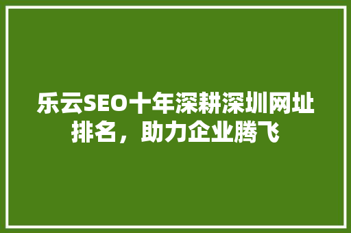 乐云SEO十年深耕深圳网址排名，助力企业腾飞