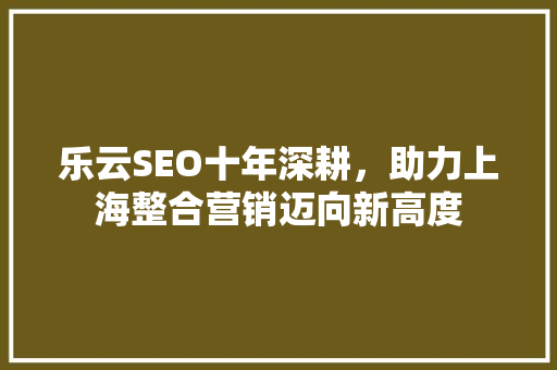 乐云SEO十年深耕，助力上海整合营销迈向新高度