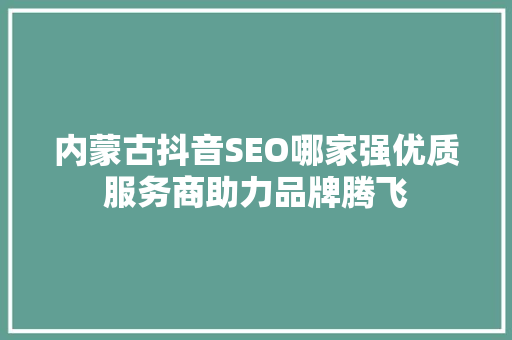 内蒙古抖音SEO哪家强优质服务商助力品牌腾飞