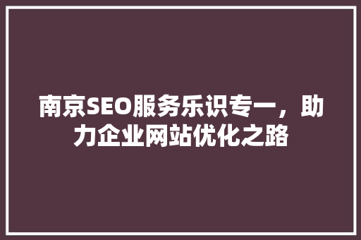 南京SEO服务乐识专一，助力企业网站优化之路