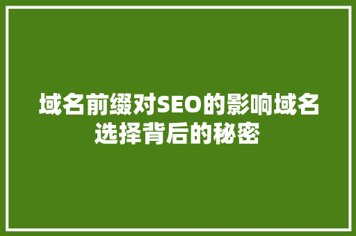 域名前缀对SEO的影响域名选择背后的秘密