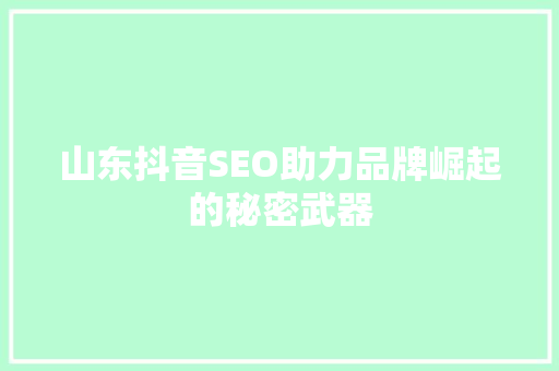 山东抖音SEO助力品牌崛起的秘密武器