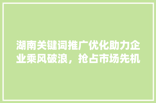 湖南关键词推广优化助力企业乘风破浪，抢占市场先机_湖南关键词推广优化