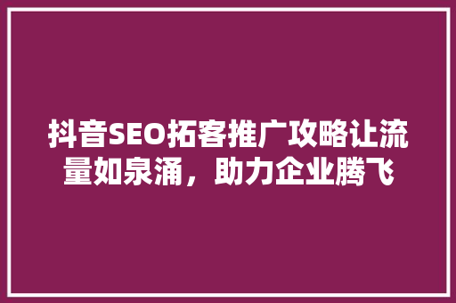 抖音SEO拓客推广攻略让流量如泉涌，助力企业腾飞