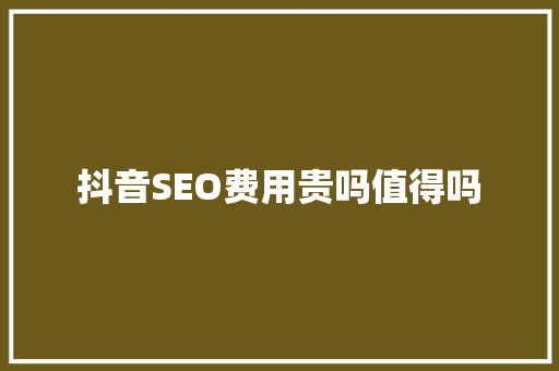 抖音SEO费用贵吗值得吗