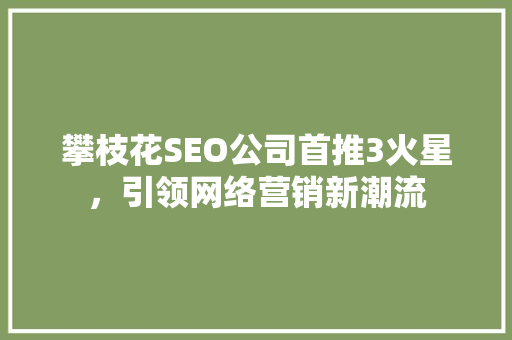攀枝花SEO公司首推3火星，引领网络营销新潮流
