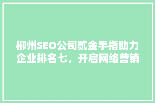 柳州SEO公司贰金手指助力企业排名七，开启网络营销新篇章