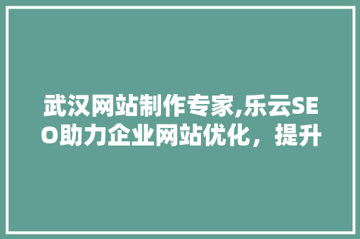 武汉网站制作专家,乐云SEO助力企业网站优化，提升品牌影响力