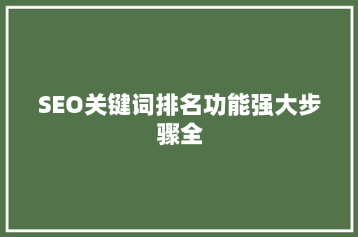 SEO关键词排名功能强大步骤全